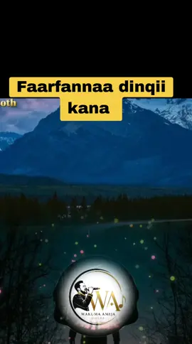 #viraltiktok #oromotiktok #trendingvideo #ethiopian_tik_tok #ethiopian_tik_tok🇪🇹🇪🇹🇪🇹🇪🇹 
