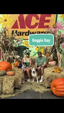 🐾 doggy day out in the city 🐾 with summer officially coming to a close, we spent one of the last beautiful days out and about with the pups! ☀️🍂 started at Benito’s Hardware to check out their little food truck lineup & grabbed a hot dog 🌭 then headed to a park in Fishtown so the dogs could do what they do best: hunt squirrels 😂🐿️ next stop was Doggie Style for some treats & a little shopping before heading toward our very important final destination: Frankford Hall’s Oktoberfest! 🍻 vendors, food & brewskies… sign me up. we walked back home along my favorite street so I could see all the fish signs then made a quick pit stop back at Benito’s to check out all their new fall goodies and admire our babies’ pictures on the wall 🥹🍁 closed out our 4-mile trek with a cutesie little family photo shoot because obviously we needed photographic evidence of our adventures 🐶🐶🐶💚 #fishtown #frankfordhall 
