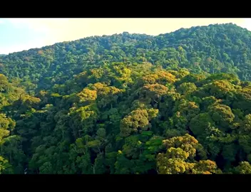 This is real Heaven ❤️🇺🇬forlyf##fyp #tiktokviral #exploreuganda #tiktokworldwide #viralvideos 