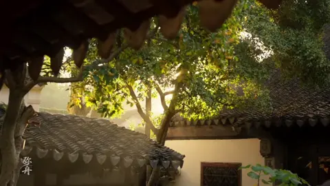 Có đôi lúc, bình yên nằm trong từng chiếc lá rơi, trong từng bước chân trên thềm đá, hài lòng với hiện tại sẽ tự thấy an yên. #cophongmonganh #cophong #chill #viral #tiktok 