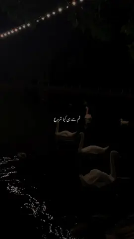 ❤️#poetry #viralvideo #fyppppppppppppppppppppppp #lyrics #newpost 