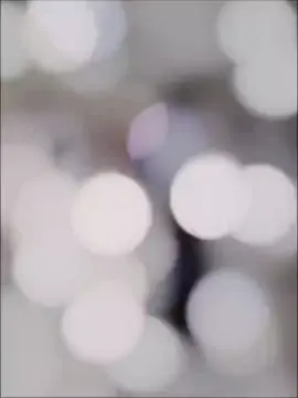 #🙏🙏🙏🙏🙏🙏🙏🙏🤣🤣#