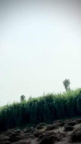 #repost 
