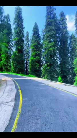📍 Lasdana bagh ajk ❤️‍🩹🥀 . . . . . #lasdana #kashmir #fyp #travel #nature 