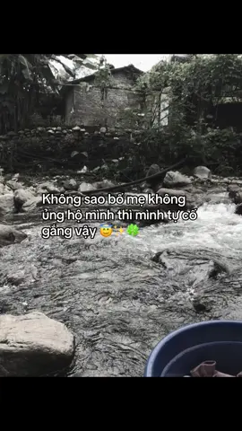 Cố gắng nhé em 🍀💗🍀#2012 #xuhuong #trending #xuhuongtiktok #xhhhhhhhhhhhhhhhhhhhhhhh 