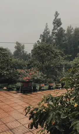 Chiều mưa🌧️⛈️#onrainydays #beast 