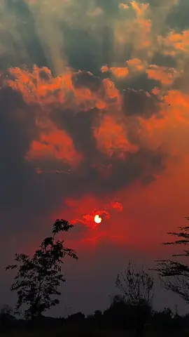 tanpa di minta, kembali dengan sempurna... #langit  #langitaesthetic  #donghua  #kultivator  #E_S 