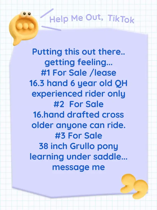 Putting this out there..  getting feeling... #1 For Sale /lease    16.3 hand 6 year old QH  experienced rider only #2  For Sale 16.hand drafted cross  older anyone can ride.  #3 For Sale      38 inch Grullo pony learning under saddle...   message me