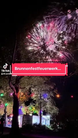 #Brunnenfestfeuerwerk#Ein atemberaubendes Feuerwerk das den Nachthimmel erleuchtet…