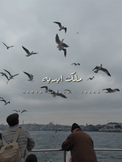 ولا حتي روحو ملك ايديه  #hamzanamira #foryou #fyp
