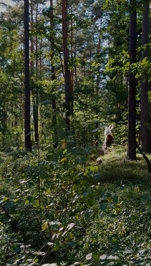 Step beyond the ordinary and into the wild. A place where nature, folklore and imagination meet—quiet forests, curious creatures and little moments of magic waiting to be discovered.