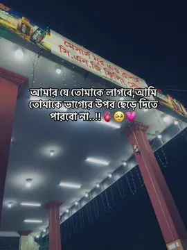 আমার যে তোমাকে লাগবে,আমি তোমাকে ভাগ্যের উপর ছেড়ে দিতে পারবো না..!🫀🫶#fouryou #viral #pyfツ #cumilla #bangladesh🇧🇩 @TikTok 
