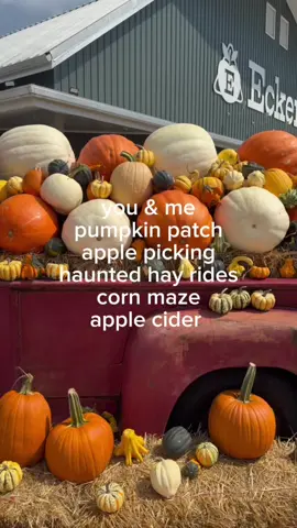 october is just around the corner 🍂🎃👻🍁 #pumpkinpatch #applepicking #applecider #halloween 