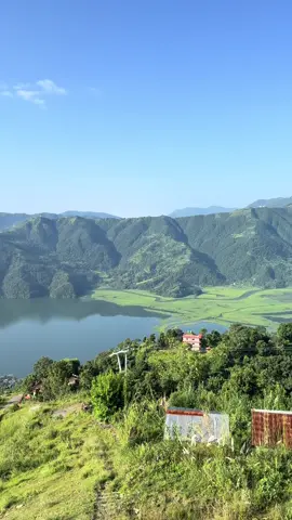 Fewa lake🌿🤍 #traveller #pokhara #nature #fewalake_pokhara 