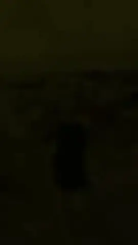 এই সাদার মাঝে লুকিয়ে আছে সরতের সবটুকু মায়া..!!🤍