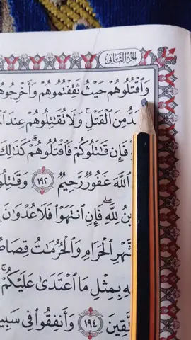 Surah Baqara#allahummarhamna_bil_quran #alquran_alkareem0 @Yar Izala🤗🥰💝 