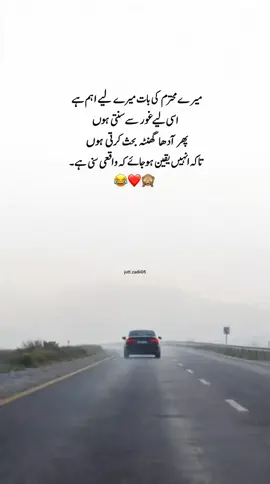 اُن کی ہر بات دل سے مانتی ہوں، زبان سے ماننے میں تھوڑا وقت لگتا ہے۔ 🙈😝#fyp 