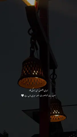 میرے بابا کے بعد میرے جینے کی واحد وجہ میری امی جان ہیں یا رب، میرے امی کو ہمیشہ ہنستا مسکراتا اپنے حفظ و امان میں رکھ اور انھیں وہ ساری خوشیاں دیکھنا نصیب فرما جس کی دعائیں وہ ہمارے لیے مانگتی آئیں ہیں اب تک آمین 🥹🫶🤍 #viral #fypage #fyp #motherlove #zahisthetic 