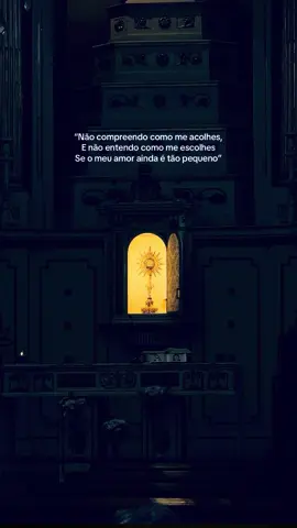 #99ovelhas #amor #jesus #catolico #jlcaeli 