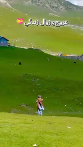عروج ۽ زوال زندگي💝#sindhivideos #plzviral🥺🥺🙏🙏foryoupage #viralvideo #sindhipoetry #growmyaccount 