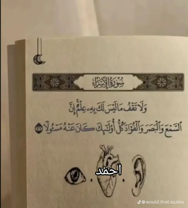 من الداخل. بدلاً من التركيز على ما ينقصك، ابدأ بتقدير ما تملكه الان. .تمرين بسيط دون كل يوم ثلاثة اشياء بسيطه جعلتك تبتسم (كوب قهوهة، رسالة من صديق ، او حتى لحظه هدوء). هذا يدرب عقلك على رصد الايجابيات وسط الضجيج. . توقف عن المقارنه:تذكر ان وسائل التواصل الاجتماعي تعرض ًافضل اللقطات ً فقط فلا تقارن كواليس حياتك المتعبه بعروض الاخرين المثالية . 2.ادارة العقل والمشاعر. افكارك هي التي تلون عالمك،، إذا كانت سوادية، سيصبح العالم باهتاً. عش الحظه؛ القلق هو عيش في المستقبل الذي لم يأت بعد ،والندم هو عيش في الماضي الذي انتهى .ركز على ًالانً. تقبل المشاعر؛الحيات ليست سعادة دائمة . من الطبيعي ان تحزن او تغضب: تقبل هاذا المشاعر واعطي نفسك حقها في التعبير ثم امض قدما. 3. الاستثمار في العلاقات: الانسان كائن اجتماعي بطبعه، جود دائرة داعمة هو سر الصمود النفسي. النوعيه لاالكمية:صديق واحد حقيقي يفهم صمتك خير من مئه صديق للمجاملات. .العطاء : مساعدة الاخيرين تفرز هرمونات السعادة (الاندورفين). اصنع يوماً جميلاً لشخص اخر،وستجد ان يومك اصبح أجمل، رسالة من صديق ، او حتى لحظه هدوء). هذا يدرب عقلك على رصد الايجابيات وسط الضجيج. . توقف عن المقارنه:تذكر ان وسائل التواصل الاجتماعي تعرض ًافضل اللقطات ً فقط فلا تقارن كواليس حياتك المتعبه بعروض الاخرين المثالية . 2.ادارة العقل والمشاعر. افكارك هي التي تلون عالمك،، إذا كانت سوادية، سيصبح العالم باهتاً. عش الحظه؛ القلق هو عيش في المستقبل الذي لم يأت بعد ،والندم هو عيش في الماضي الذي انتهى .ركز على ًالانً. تقبل المشاعر؛الحيات ليست سعادة دائمة . من الطبيعي ان تحزن او تغضب: تقبل هاذا المشاعر واعطي نفسك حقها في التعبير ثم امض قدما. 3. الاستثمار في العلاقات: الانسان كائن اجتماعي بطبعه، جود دائرة داعمة هو سر الصمود النفسي. النوعيه لاالكمية:صديق واحد حقيقي يفهم صمتك خير من مئه صديق للمجاملات. .العطاء : مساعدة الاخيرين تفرز هرمونات السعادة (الاندورفين). اصنع يوماً جميلاً لشخص اخر،وستجد ان يومك اصبح أجمل😕🪽#مليون_مشاهدة❤🔥🔥🔥🔥🔥🔥 