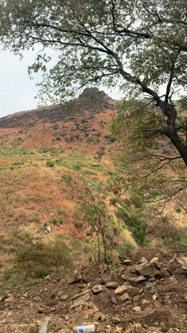 Western rift valley Uganda #fypシ #Westernriftvalley #LakeAlbertUganda #fyp #viral 