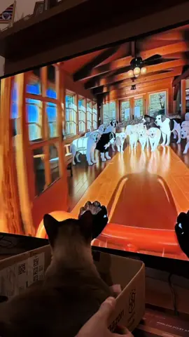 👉 Mais uma aventura da Nina transformando papelão em parque temático 😂🎢🐱 Parte 5! Dessa vez, a montanha-russa ganhou uma participação especial… os cachorros! 😂🐶 Será que essa aventura vai dar certo? 👀🎢 #gatostiktok #montanharussa #humorbrasil #gatos #memesgatos 