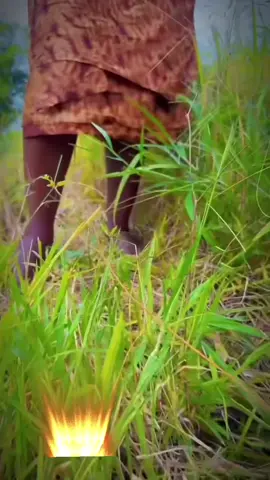 ORBAKIGBO 