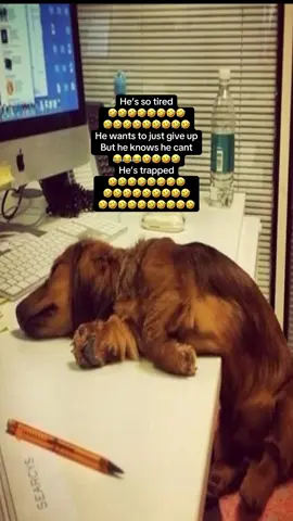 What is he trapped by? He doesnt even know #fyp #viral #foryoupage #trending #tiktok 
