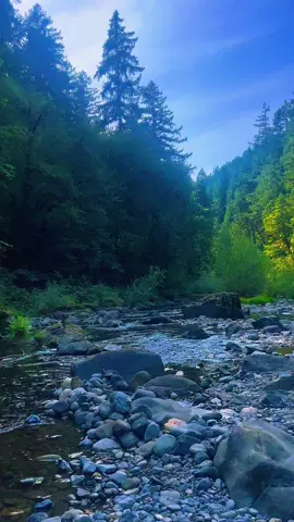 sunday’s.  #oregon #pnw #pacificnorthwest 