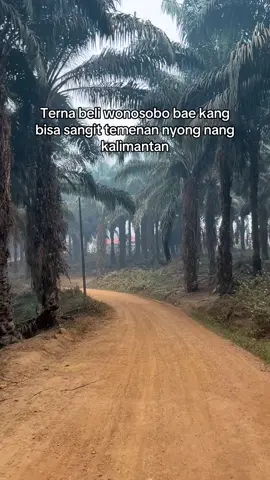 Rasui dadi iwak asap😭😭#kalimantan #wonosobopride #asapkalimantan #fyp #masukberandafyp 