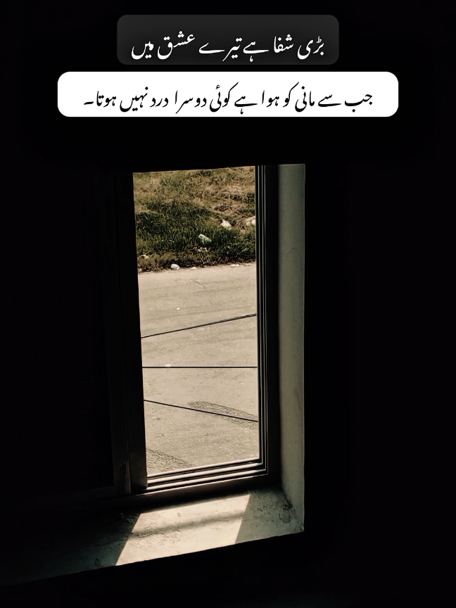 کوئی اور درد نہیں ہوتا اب مانی کو❤️‍🩹🤧🥀#poetrystatus #sadpoetry #growmyaccount #tiktokpleaseunfreezmyacount 