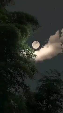 Allah🥰