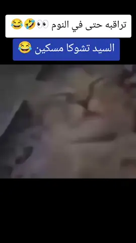 #الجزائر🇩🇿 #قطط #الشعب_الصيني_ماله_حل😂😂 