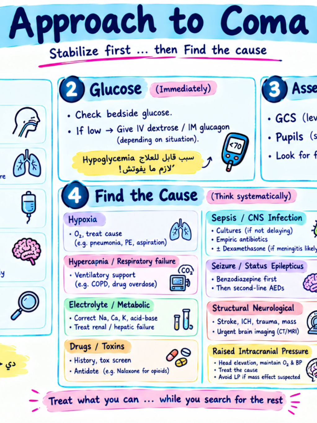 HOW TO APPROACH 🩺 مريض داخل عليك في … Coma هتبدأ منين🧠 متجريش على التشخيص الأول! ABC → Glucose → GCS & Pupils → Find the cause في How to Approach هنفك الحالات الصعبة بطريقة عملية وسريعة. Follow Health Point عشان متفوتش الـApproach الجاي. #طب #medstudent #medicina #medicaleducation #coma 