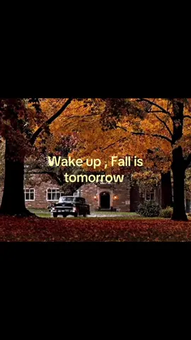 #fall #fyp #viral #blowthisup #xybca 