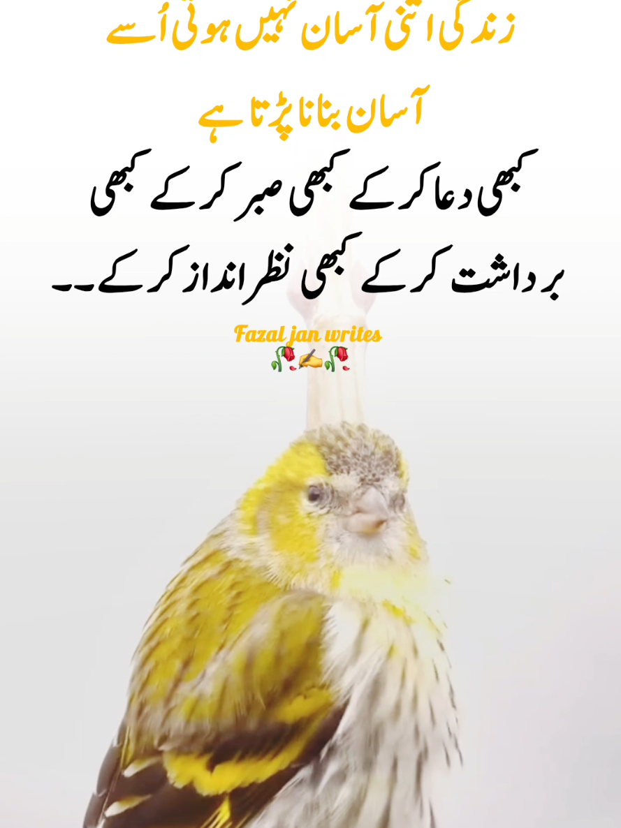 #tiktok #viralvideo #foryou #fouryoupage #unfrezzmyaccount 