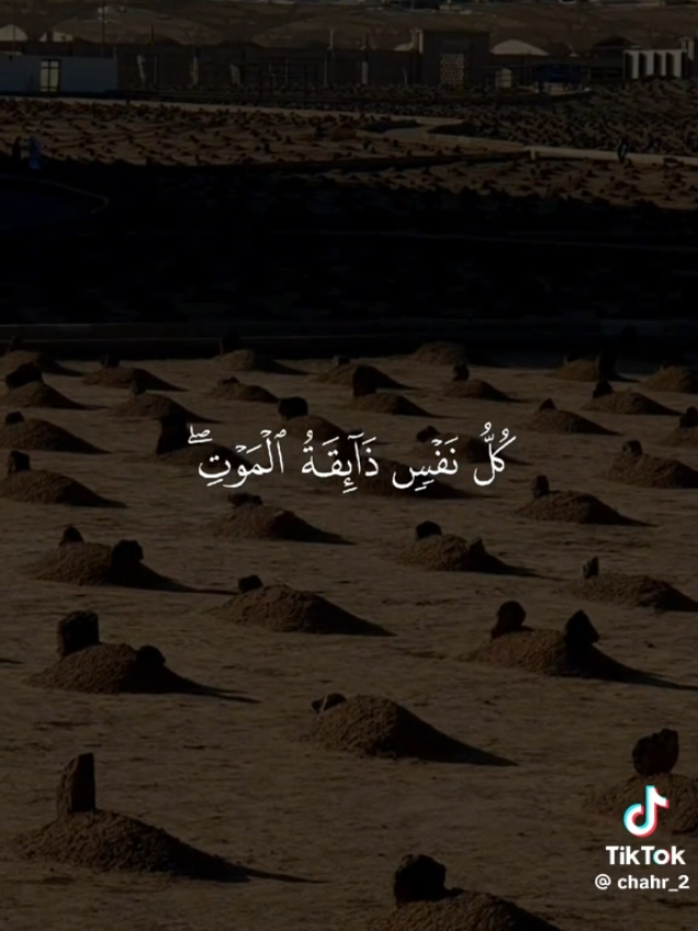 #دينيات_اسلامية  #القران_راحة_نفسية 
