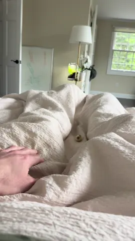 Mouse may end up being an indoor house quail if he doesn’t stop be so cute 😭💙 - - - #babyanimals #cuteanimals #cutenessoverload #cuteness #cuteanimal 