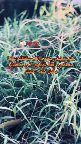 #اونطه×اونطه #ليكات👍생일축하해사랑해❤😘 #foryou 