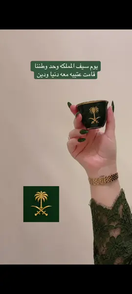 #fyp #اليوم_الوطني_السعودي #السعودية #wintervibes #الملك_سلمان 