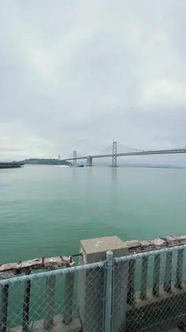Grateful to live in this beautiful city and never get tired of views like this. Embarcadero and the Bay Bridge on a cloudy  Monday #california #sanfrancisco #bayarea #baybridge #sf 