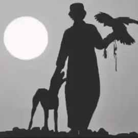 #اكسبلور #قصايد 