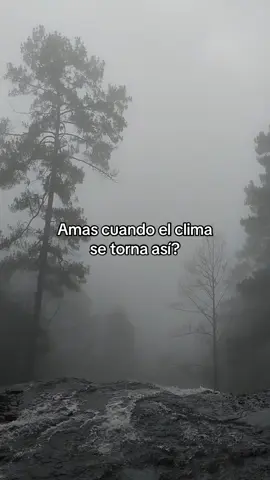 sígueme para más 😶‍🌫️🌫️ #paisajes #relajante #relaxingvideos #hasmeviral #fypシ 