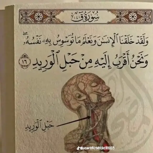 الحمدلله ❤️❤️❤️❤️ من الداخل. بدلًا من التركيز على ما ينقصك، ابدأ بتقدير ما تملكه الآن. • تمرين بسيط: دوّن كل يوم ثلاثة أشياء بسيطة جعلتك تبتسم (كوب قهوة، رسالة من صديق، أو حتى لحظة هدوء). هذا يدرب عقلك على رصد الإيجابيات وسط الضجيج. • توقف عن المقارنة: تذكر أن وسائل التواصل الاجتماعي تعرض 