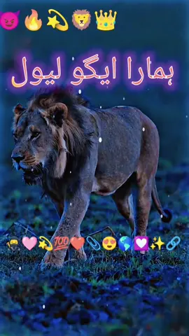 یہ گری ہوئی حرکت ہم نہیں کرتے ✌️😎😈💯🥀👍🔥❤️‍🔥🙏💪👑✨⚡☠️🦁#lines #attitudevideo #tiktokgrowthchallenge #videoviral #zahidali48489 
