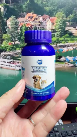 Qiaobelixi Viên Nhai Bổ Sung Vitamin chó mèo