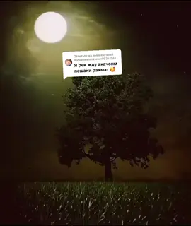 #таджикистан #таджикистан🇹🇯 #топ #рекомендации #хучанд 