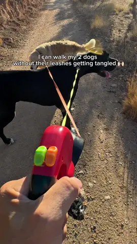 2 dogs. Constantly switching sides. And I don’t have to untangle them anymore 😭🐕‍🦺🦮 This feeling >>> 😍 #TwoDogs #DoubleDogLeash #DogWalking