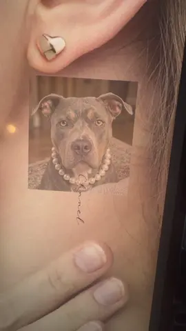 #tattoo #tattoolasvegas #babyfacetattoo #dogtattoo 
